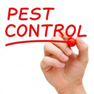 Pest Control